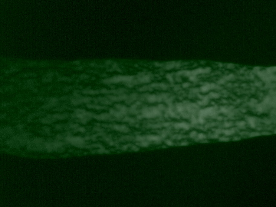 Fluorescence image of a silicone coating