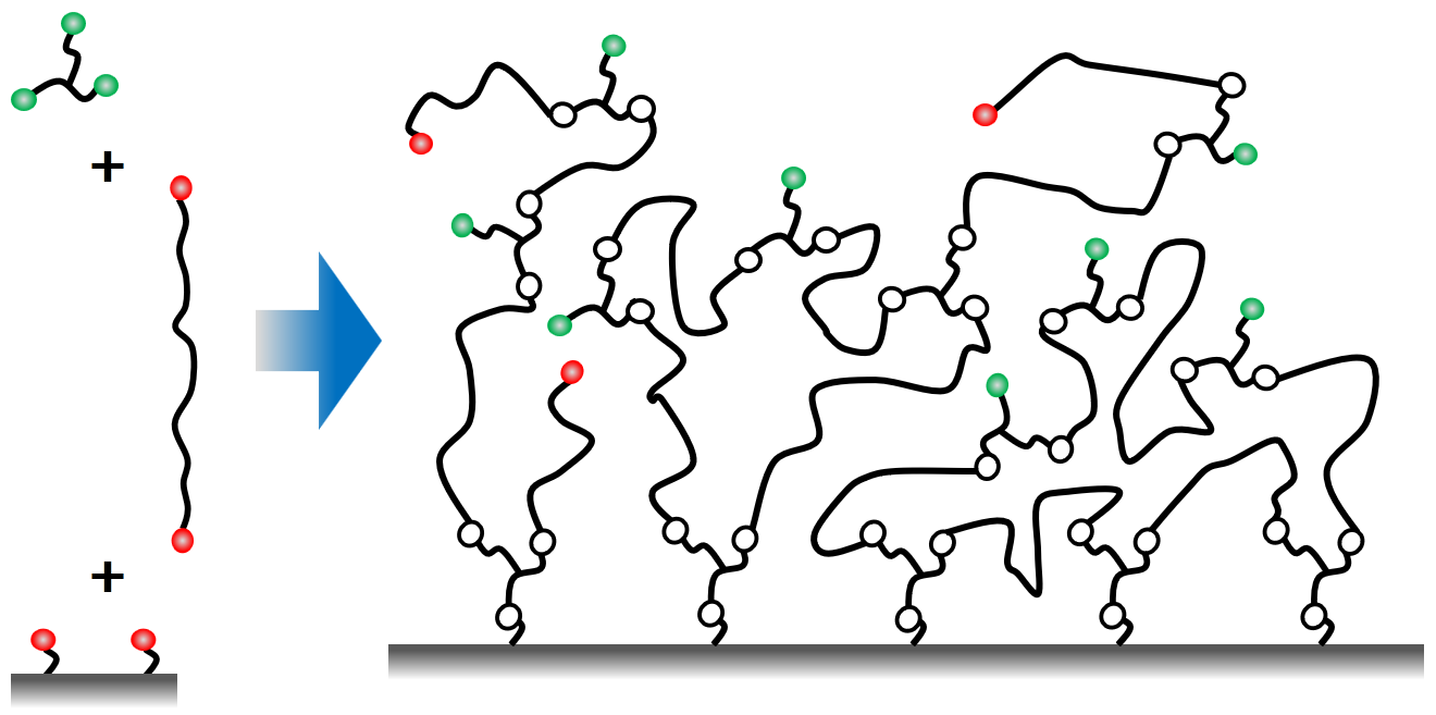 Hydrogel network formation