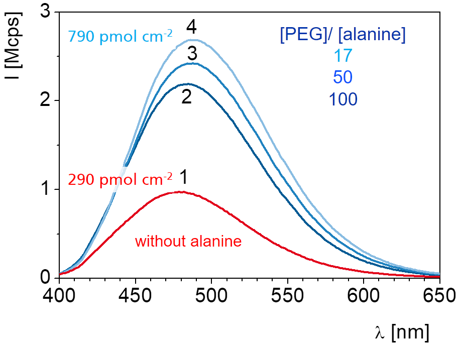 PEG network with alanine, carboxylic acid groups labelled